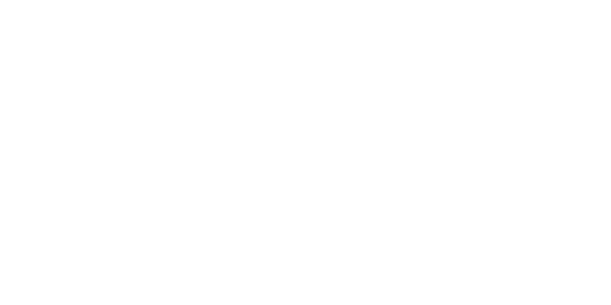 Lightspeed Data Solutions